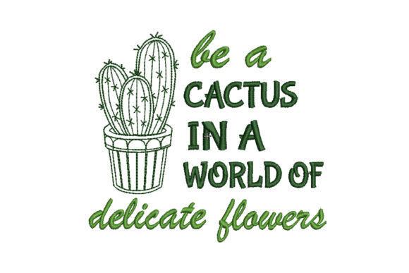 Be a Cactus in a World of Delicate Review