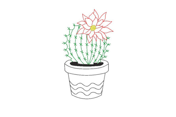 Cactus in a Flower Pot: A Designer's Review
